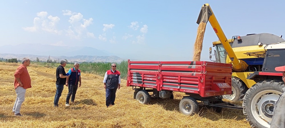 Yeni Sezonun İlk Buğdayı Sarayköy’den Biçildi (3)