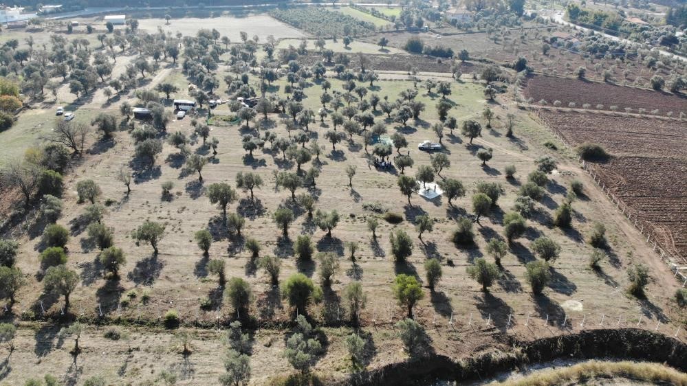 Zeytinlikler Gündemde Maden Yasası Komisyonu Geçti