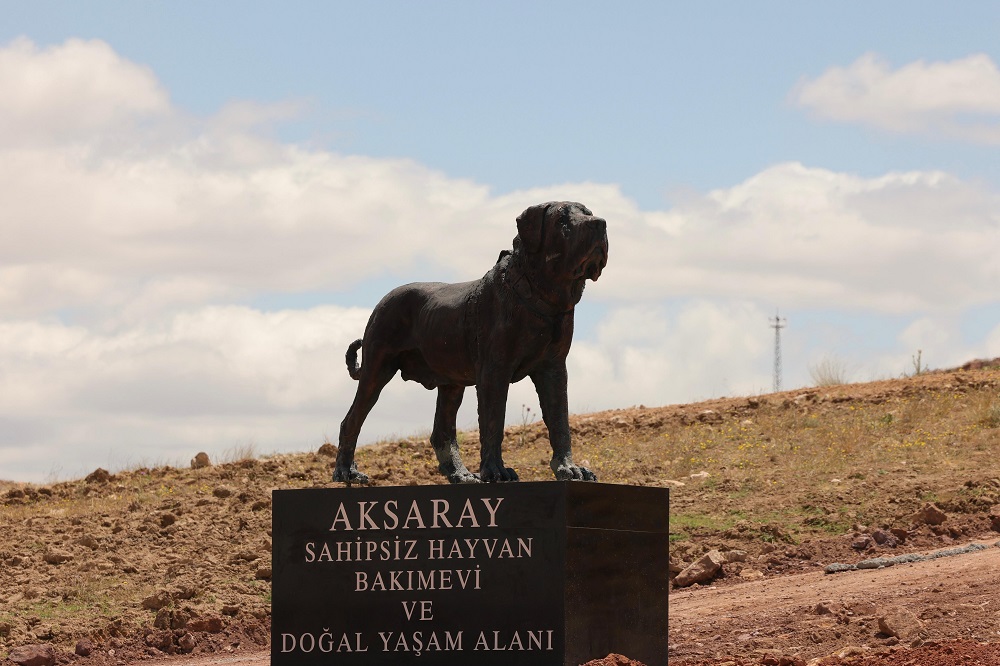 Aksaray’da Sahipsiz Hayvanlar İçin Yeni Bakımevi Ve Doğal Yaşam Alanı Hizmete Girdi (3)