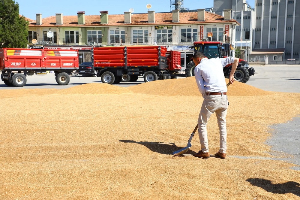 Alaca’da Hasat Başladı İlk Ürünler Satışa Sunuldu (1)
