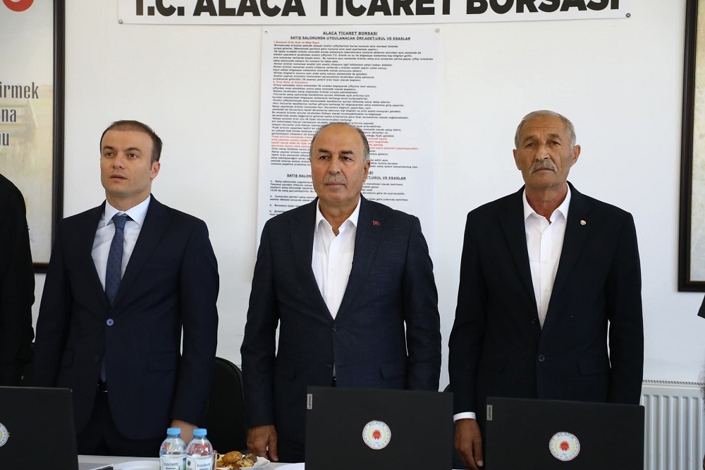 Alaca’da Hasat Başladı İlk Ürünler Satışa Sunuldu (3)