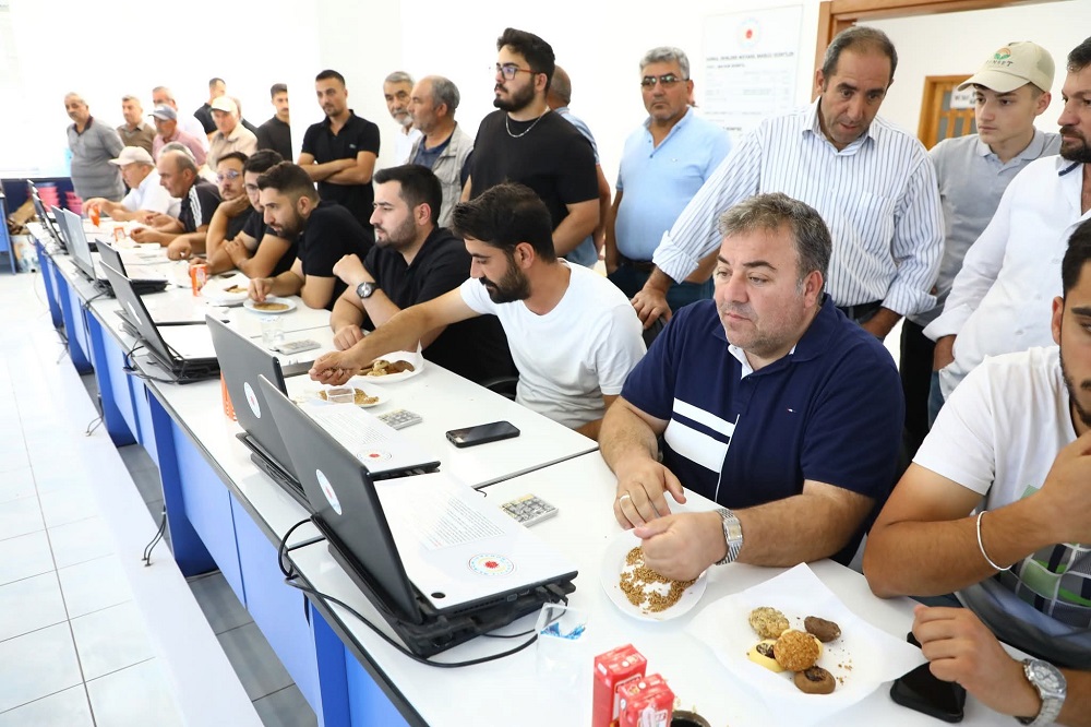 Alaca’da Hasat Başladı İlk Ürünler Satışa Sunuldu (4)