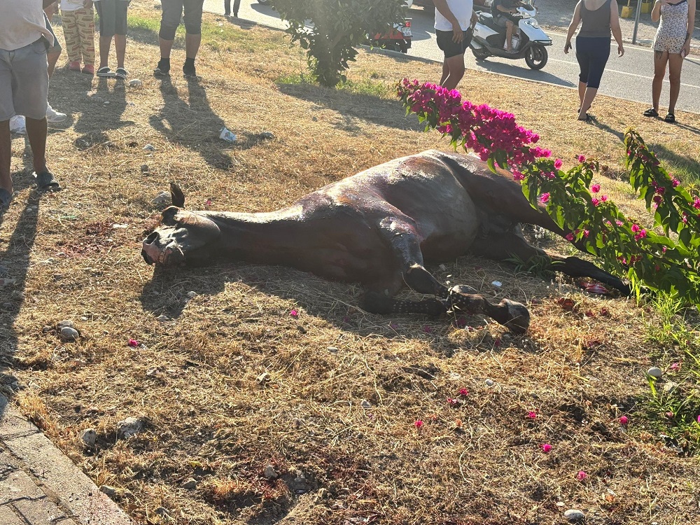 Antalya’da Kaza Başıboş At Yola Fırladı, Otomobilde 3 Kişi Yaralandı (1)