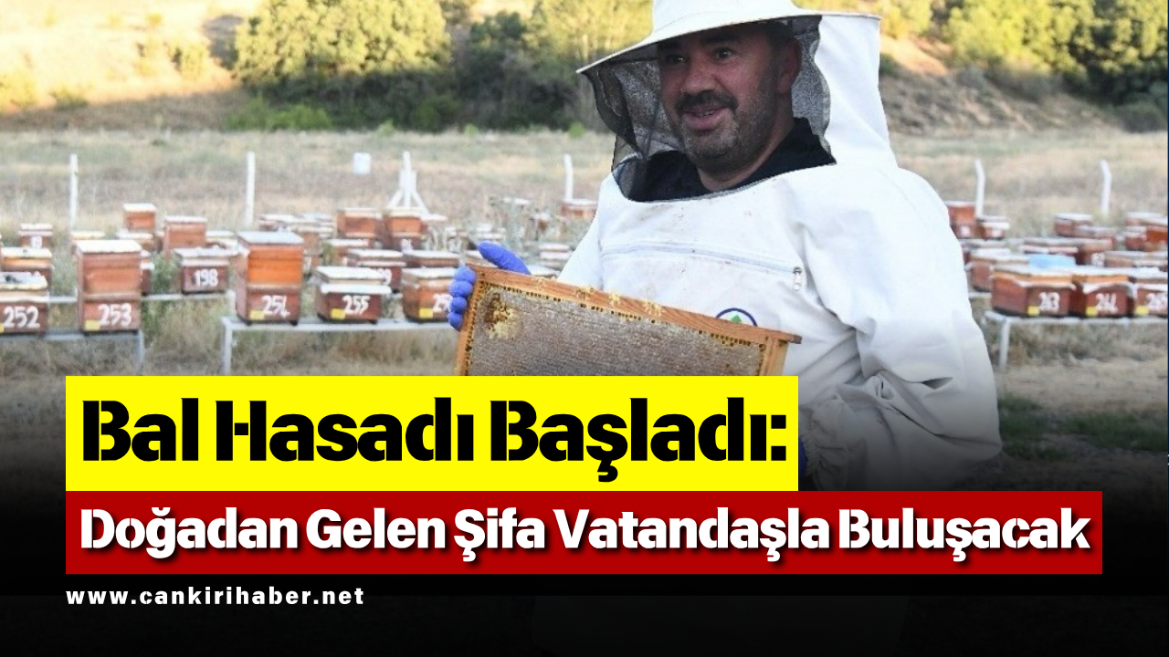 Bal Hasadı Başladı Doğadan Gelen Şifa Vatandaşla Buluşacak