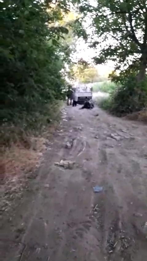 Bursa’da Vicdanları Sızlatan Görüntü Büyükbaş Hayvanı Sürükleyip Sopayla Dövdü! (2)