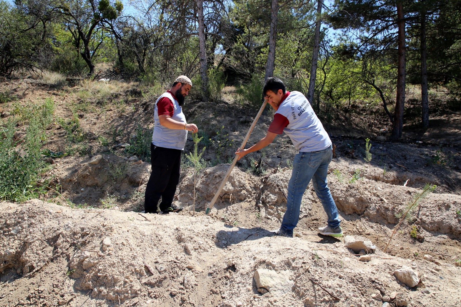 Çankırı Belediyesi'nden Anlamlı Proje Mutluluklara Yeşil Dokunuş (2)