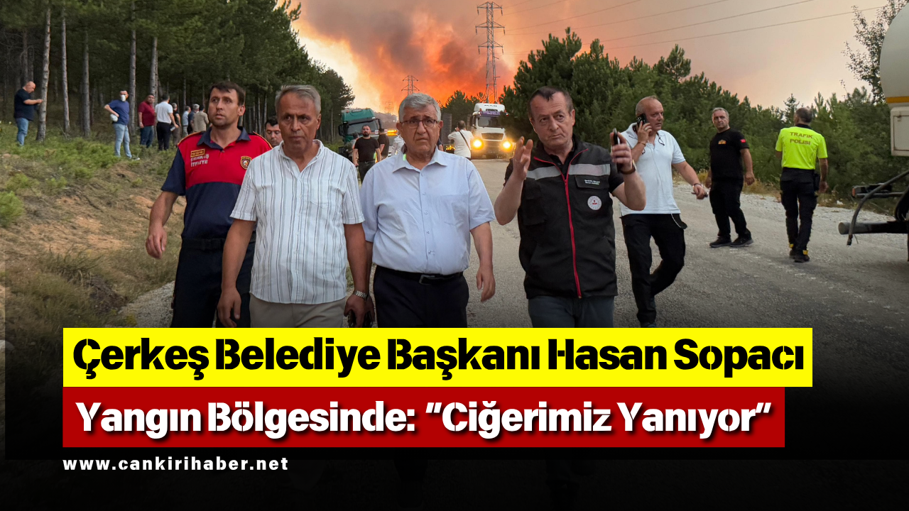 Çerkeş Belediye Başkanı Hasan Sopacı Yangın Bölgesinde “Ciğerimiz Yanıyor”