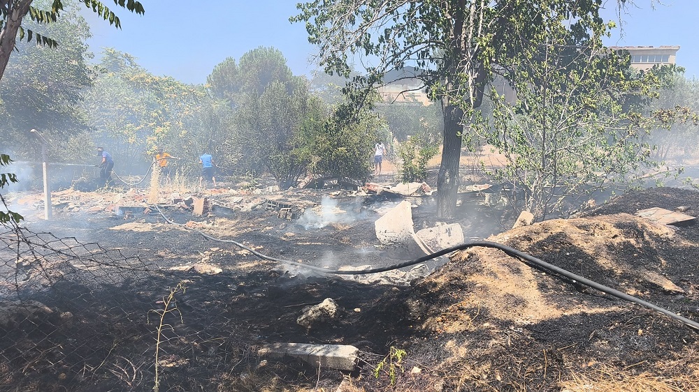 Denizli’de Boş Arazide Yangın, Meyve Ağaçları Zarar Gördü (2)