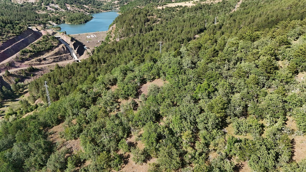 Hasip Bostan 3 Gündür Arıyor Hayvanlar Sanki Yere Battı (2)