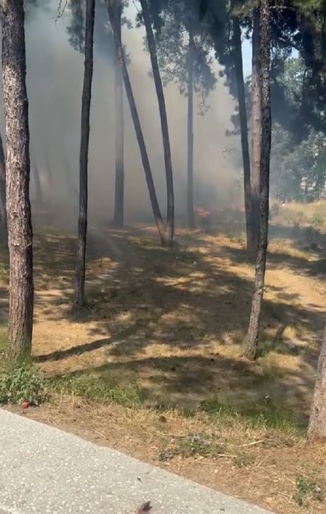 Hastane Bahçesinde Alev Paniği Yangın Kısa Sürede Söndürüldü (2)