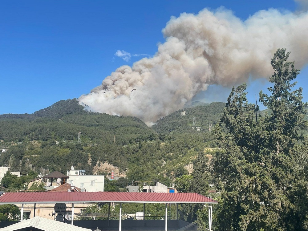 Hatay Dörtyol’da Orman Yangını Alevlere Yoğun Müdahale Sürüyor (3)