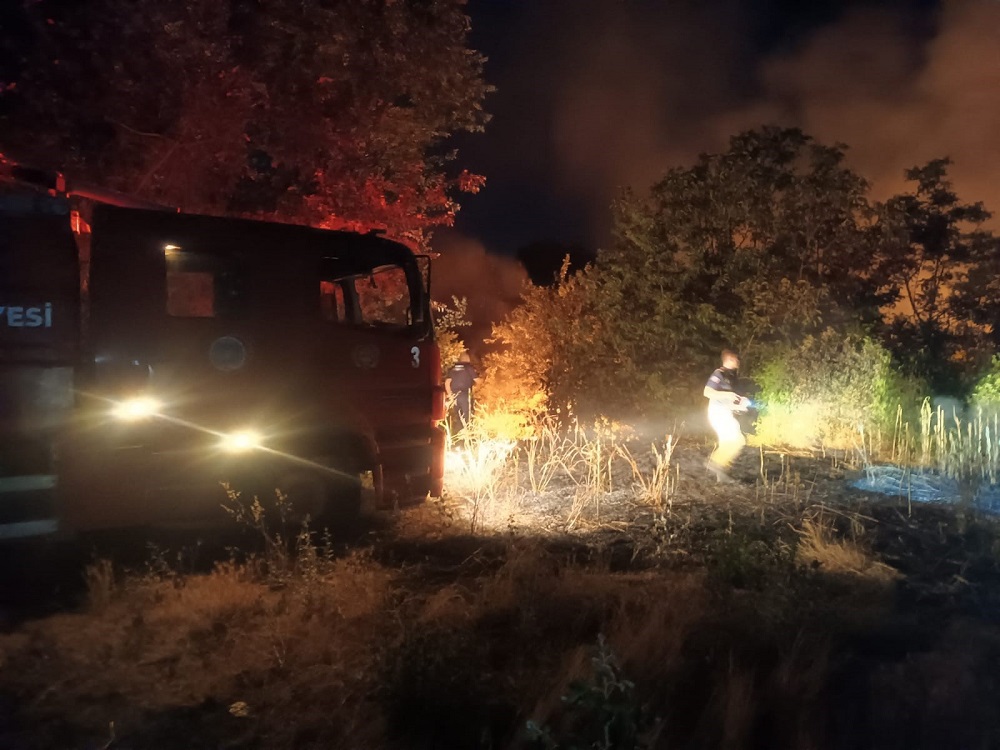 İnegöl'de Otluk Yangını Ormana Sıçradı (3)