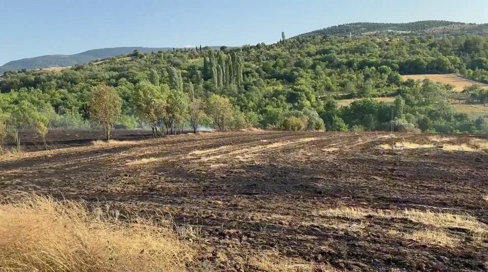Karabük’te Anız Yangını 25 Dönüm Alanı Küle Çevirdi (2)