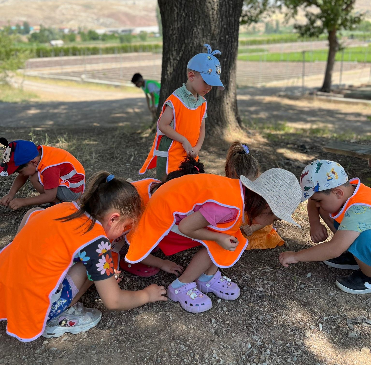 Minikler Ormanın Değerini Yerinde Öğrendi Palmiye Anaokulu’ndan Fidanlık Ziyareti (2)