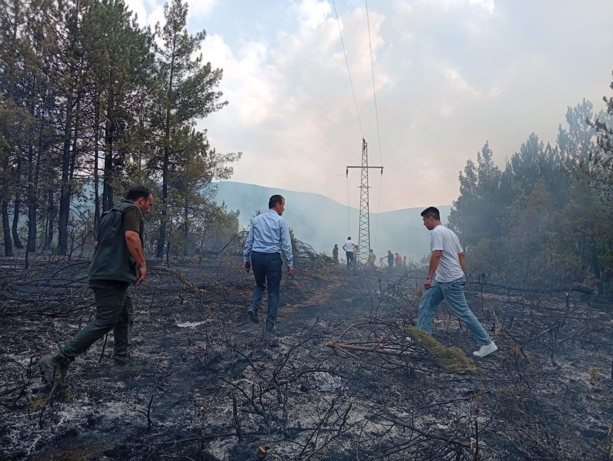 Ovacık’ta Çıkan Örtü Yangını 1.5 Saatte Kontrol Altına Alındı (2)