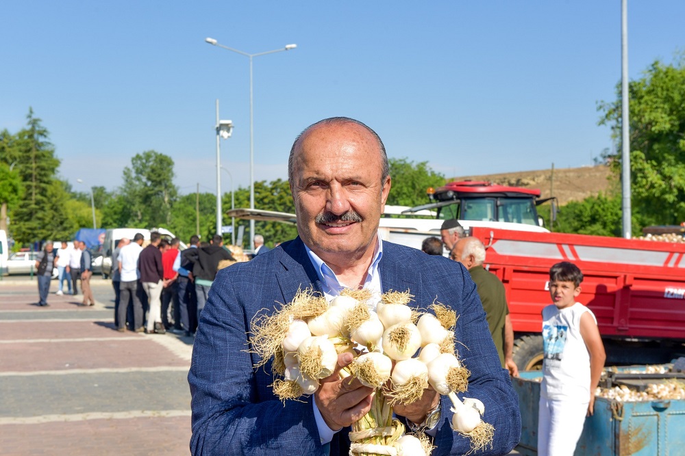 Taşköprü Sarımsağında Sezon Açıldı! (3)