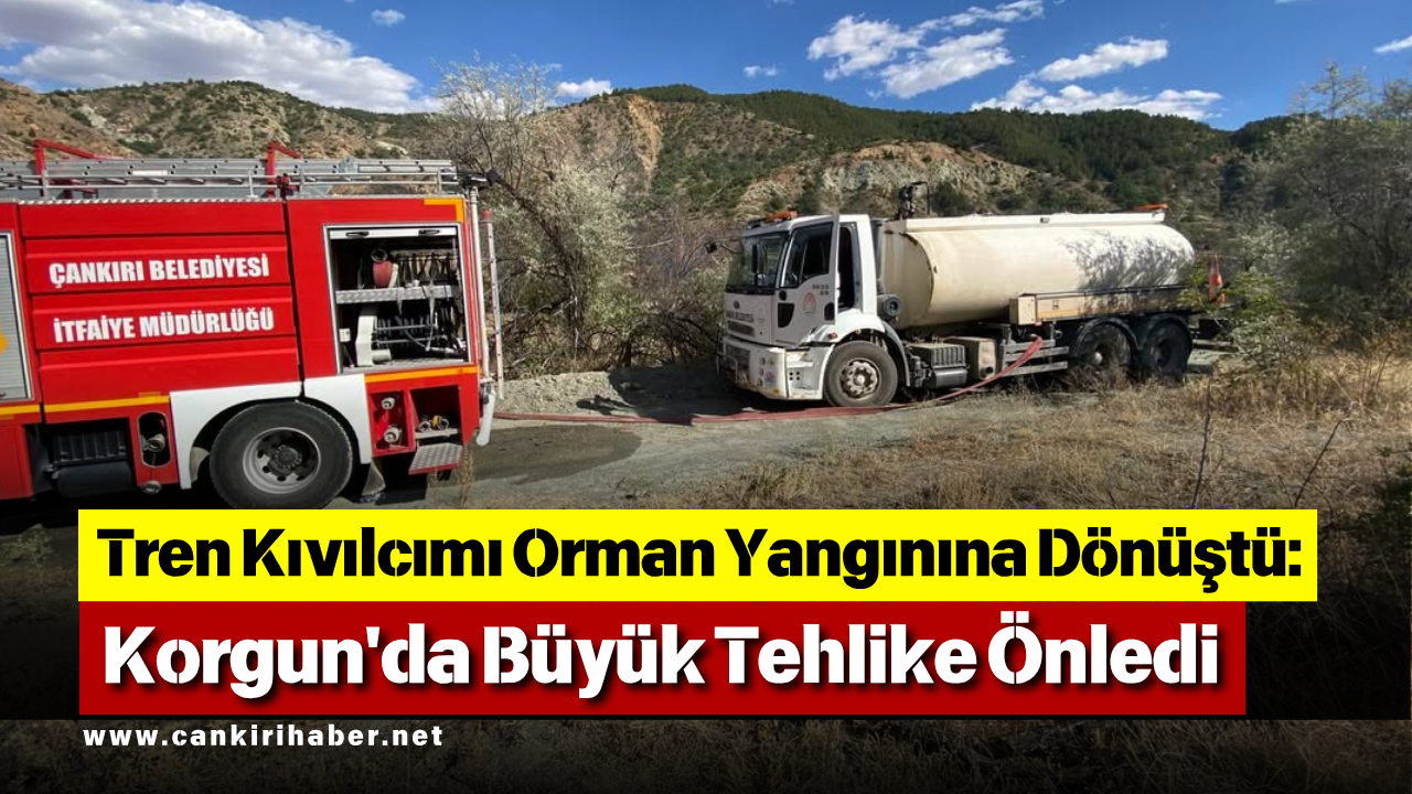 Tren Kıvılcımı Orman Yangınına Dönüştü Korgun'da Büyük Tehlike Önledi