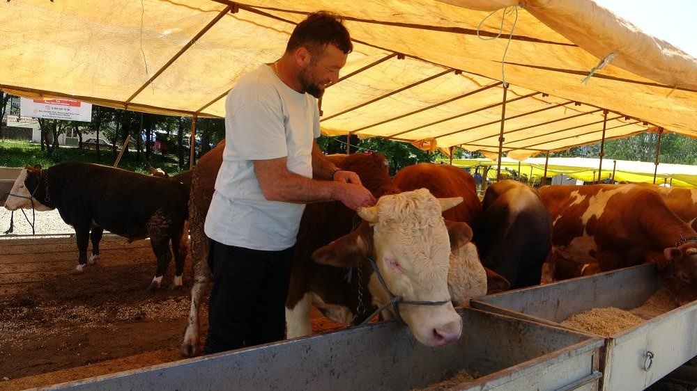 Türkiye Genelinde Hayvan Satış Yerlerine Geçici Kapanma Kararı (2)