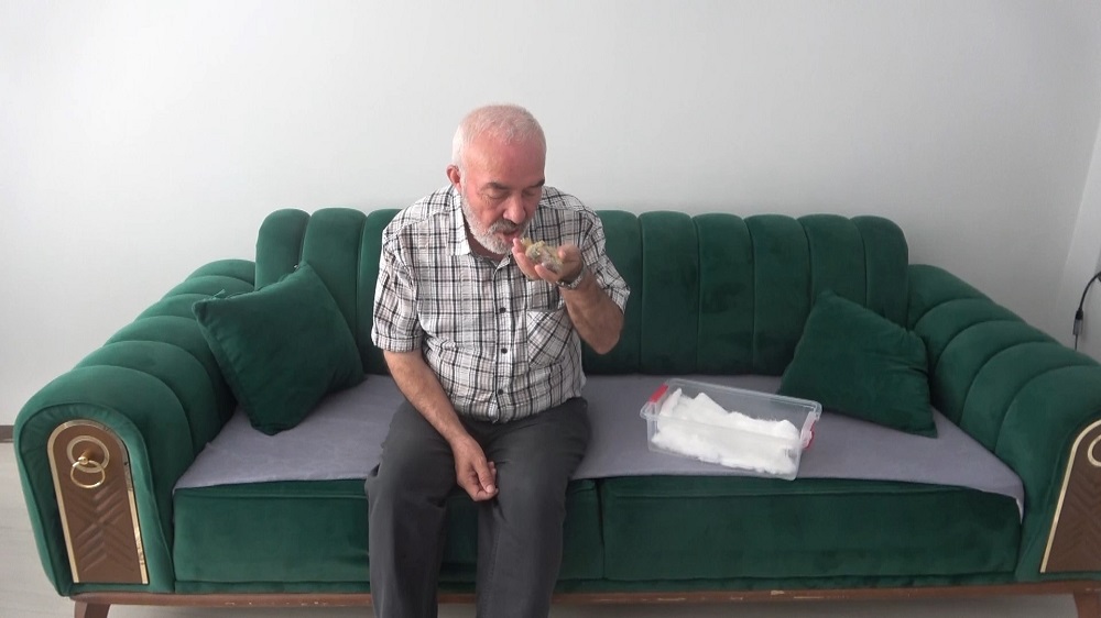 Yavru Güvercini Ağzıyla Besleyerek Hayata Döndürdü (2)