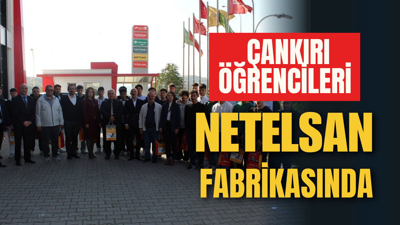 Çankırı Öğrencileri Netelsan Fabrikasında