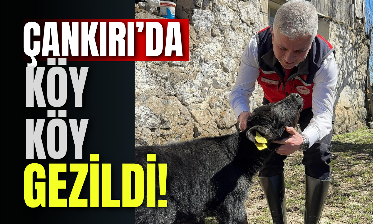 Çankırı’da Köy Köy Gezildi!