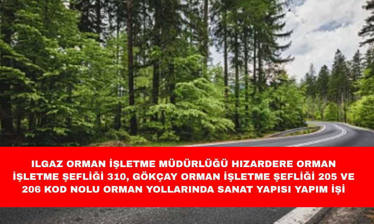 ILGAZ ORMAN İŞLETME MÜDÜRLÜĞÜ HIZARDERE ORMAN İŞLETME ŞEFLİĞİ 310, GÖKÇAY ORMAN İŞLETME ŞEFLİĞİ 205 VE 206 KOD NOLU