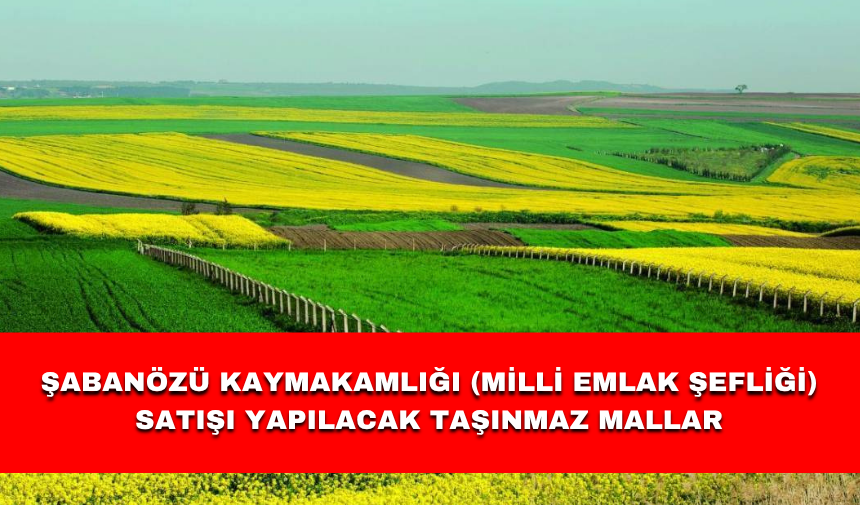 ŞABANÖZÜ KAYMAKAMLIĞI (MİLLİ EMLAK ŞEFLİĞİ) SATIŞI YAPILACAK TAŞINMAZ MALLAR