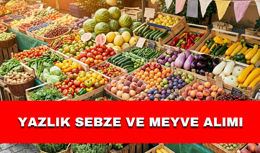 YAZLIK SEBZE VE MEYVE ALIMI