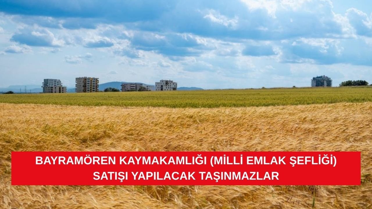 BAYRAMÖREN KAYMAKAMLIĞI (MİLLİ EMLAK ŞEFLİĞİ) SATIŞI YAPILACAK TAŞINMAZLAR