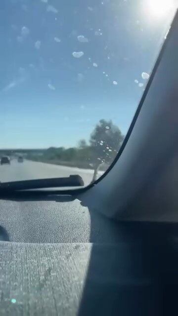 Seyir Halindeki Aracın Kaputundaki Yılan Şaşkına Çevirdi!