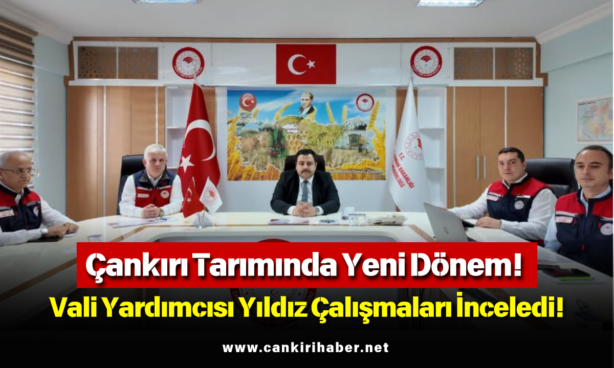 Çankırı Tarımında Yeni Dönem! Vali Yardımcısı Yıldız Çalışmaları İnceledi