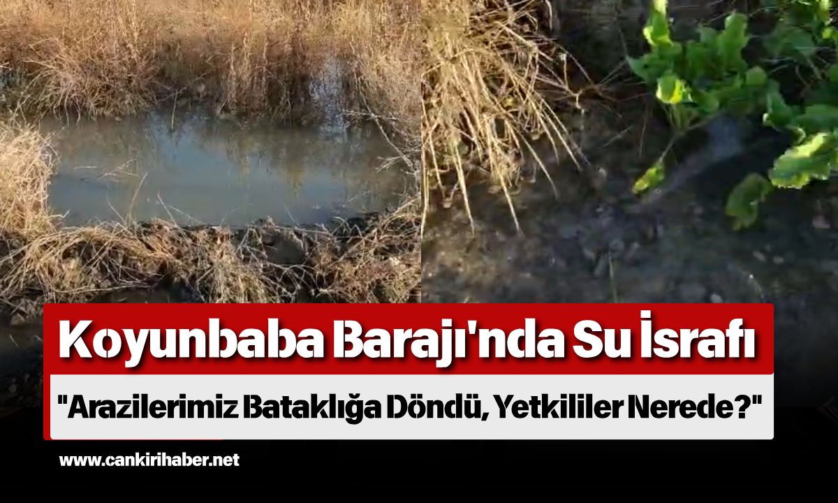 Koyunbaba Barajı'nda Su İsrafı Arazilerimiz Bataklığa Döndü, Yetkililer Nerede