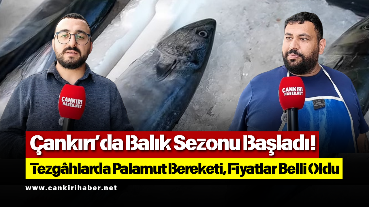 Çankırı’da Balık Sezonu Başladı! Tezgâhlarda Palamut Bereketi, Fiyatlar Belli Oldu