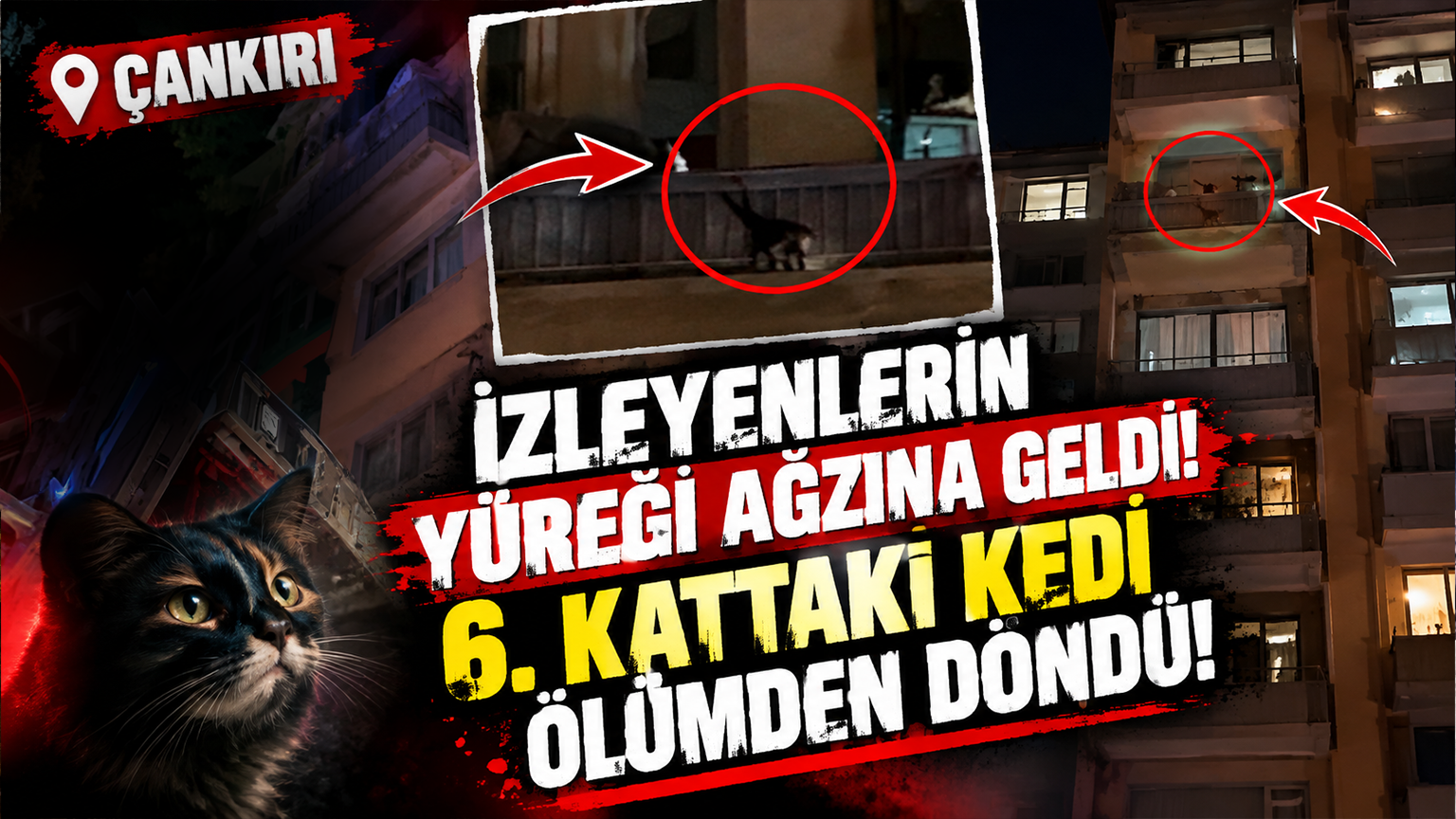 İzleyenlerin Yüreği Ağzına Geldi! 6. Kattaki Kedi Ölümden Döndü!112