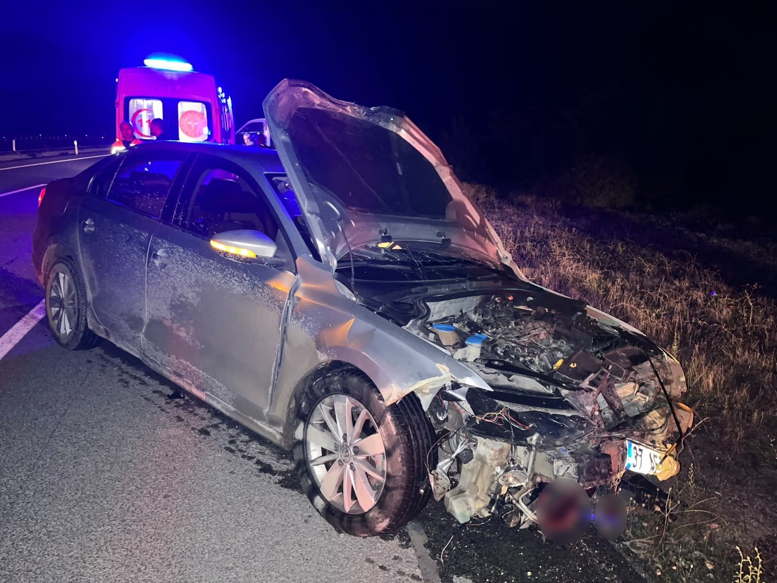 Domuz Sürüsü Bir Anda Yola Çıktı! Otomobildeki 2 Kişi Yaralandı!