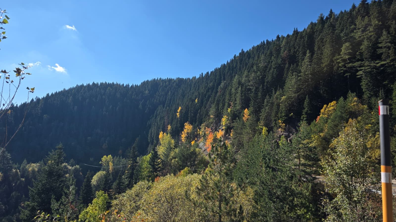 Ilgaz Dağı’nda Sonbahar Manzarası Görenleri Büyülüyor!3