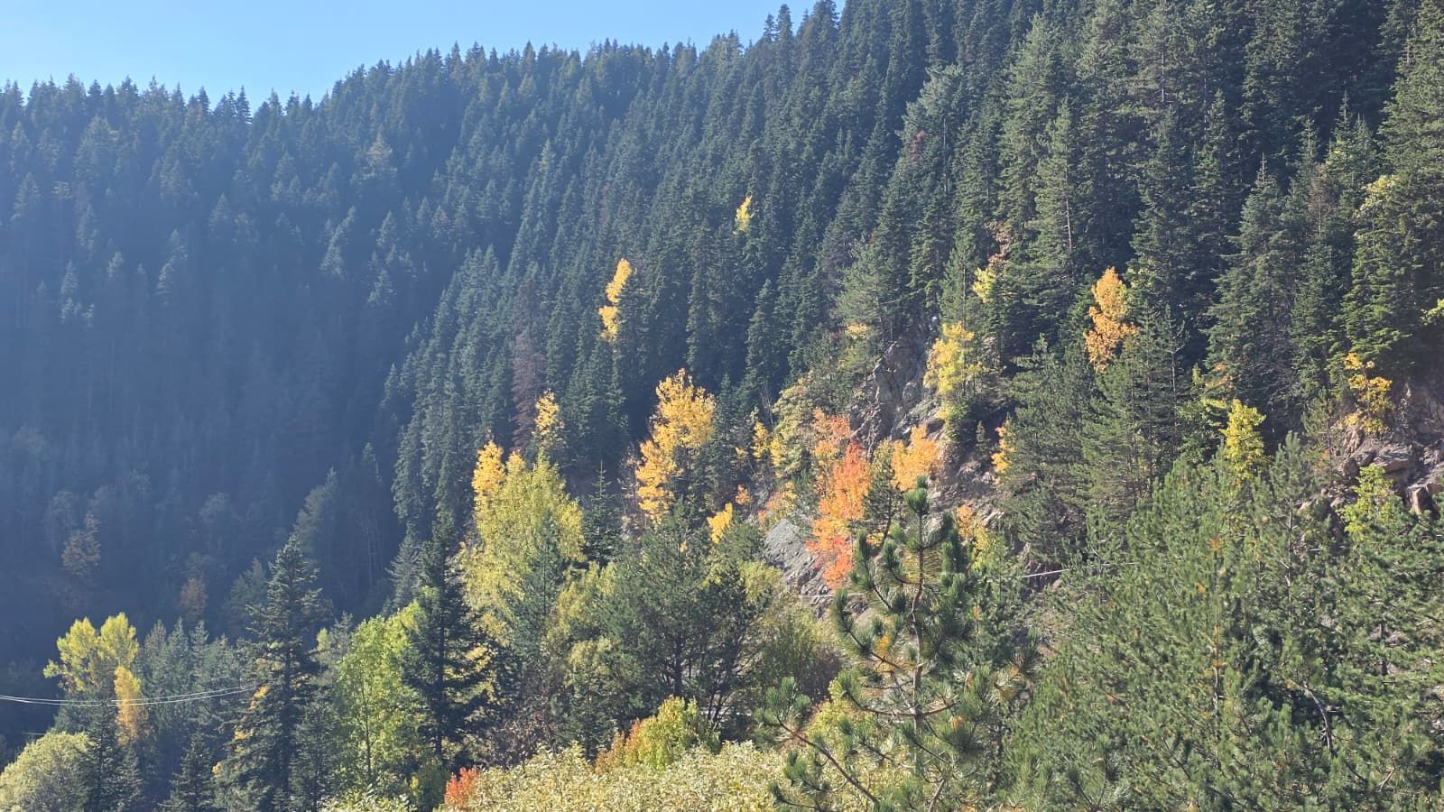 Ilgaz Dağı’nda Sonbahar Manzarası Görenleri Büyülüyor!4