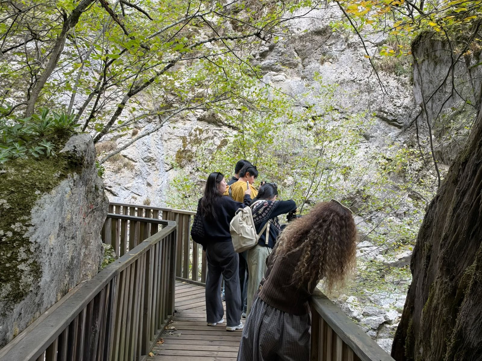 Kastamonu’nun Doğal Ve Kültürel Zenginlikleri Güney Kore’de Tanıtılacak!1