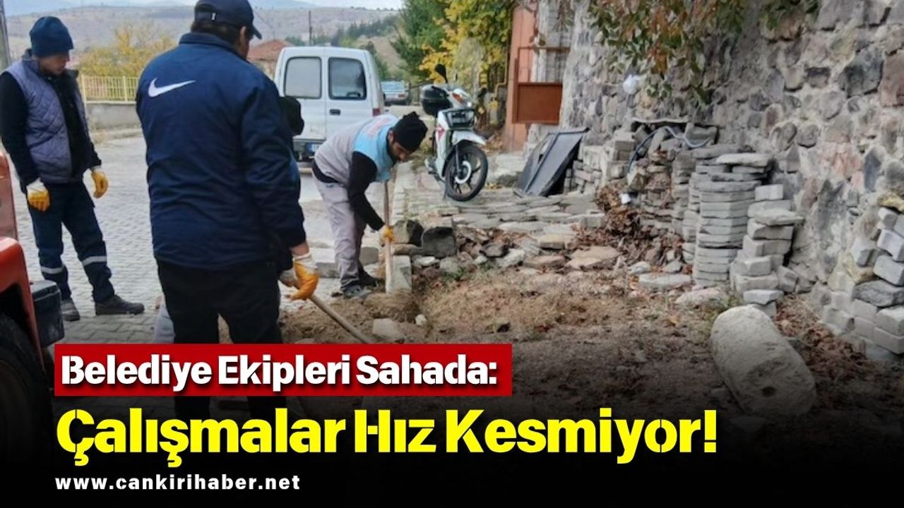 Belediye Ekipleri Sahada: Çalışmalar Hız Kesmiyor!