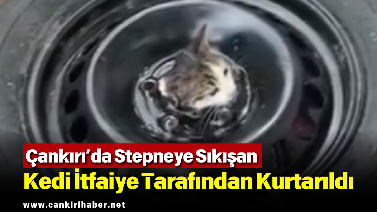 Çankırı’da Stepneye Sıkışan Kedi İtfaiye Tarafından Kurtarıldı