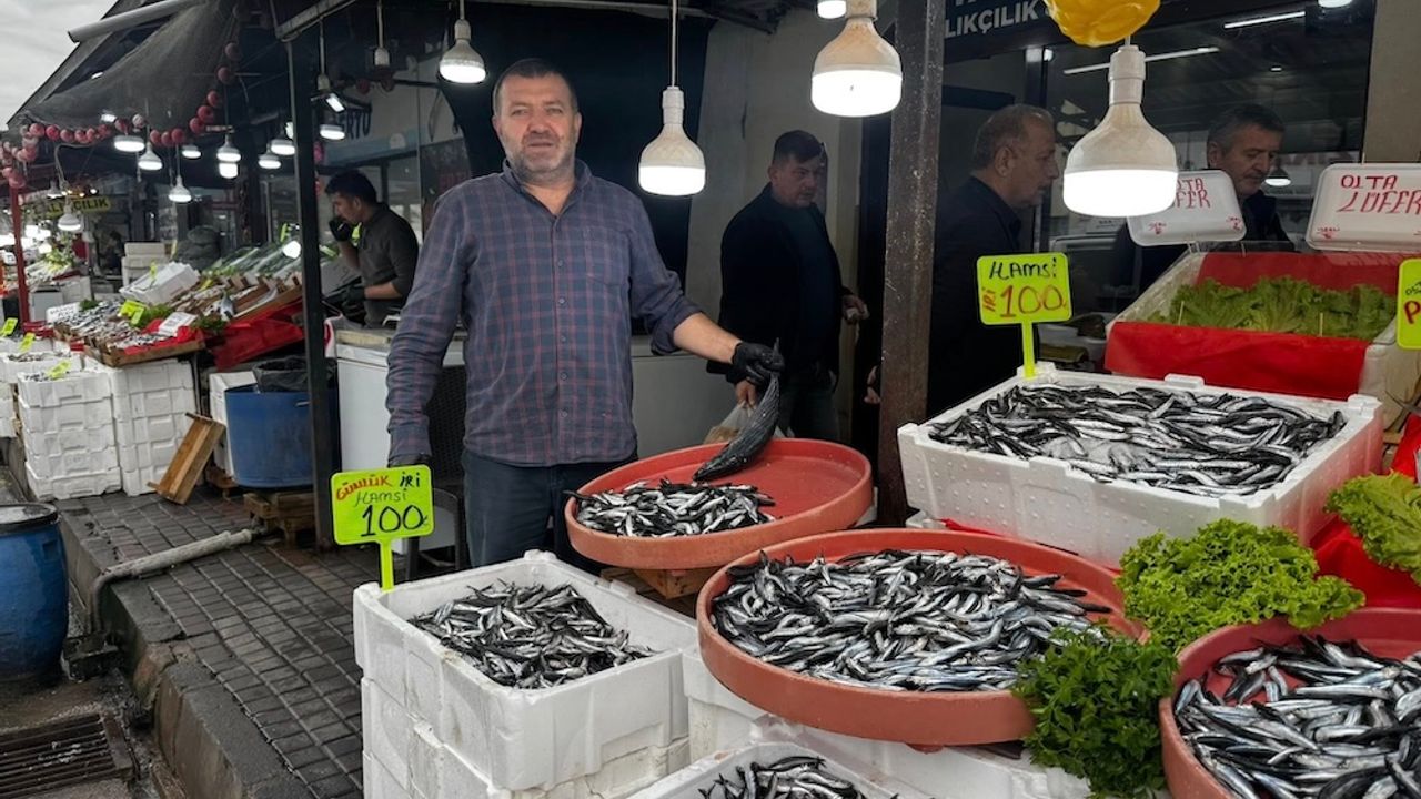 Karadeniz’de hamsi bolluğu Alaplı tezgahlarına yansıdı