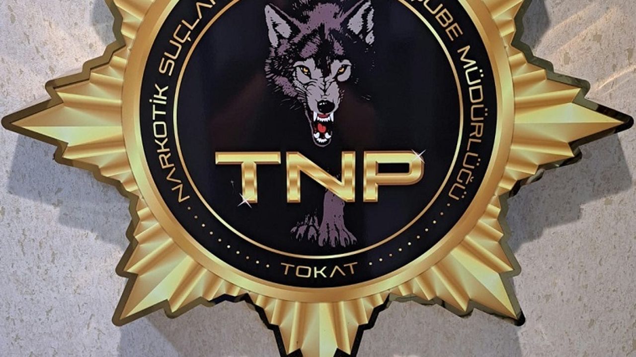 Tokat’ta Narkotik Operasyonu: 500 İçimlik Bonzai Ele Geçirildi, Şüpheli Tutuklandı