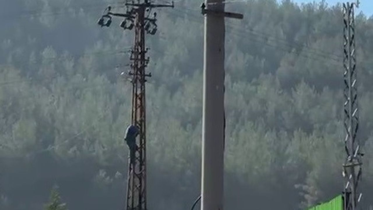 Trafik cezasına öfkelenen sürücü sanayiyi karıştırdı: Direğe çıkıp intihar girişiminde bulundu