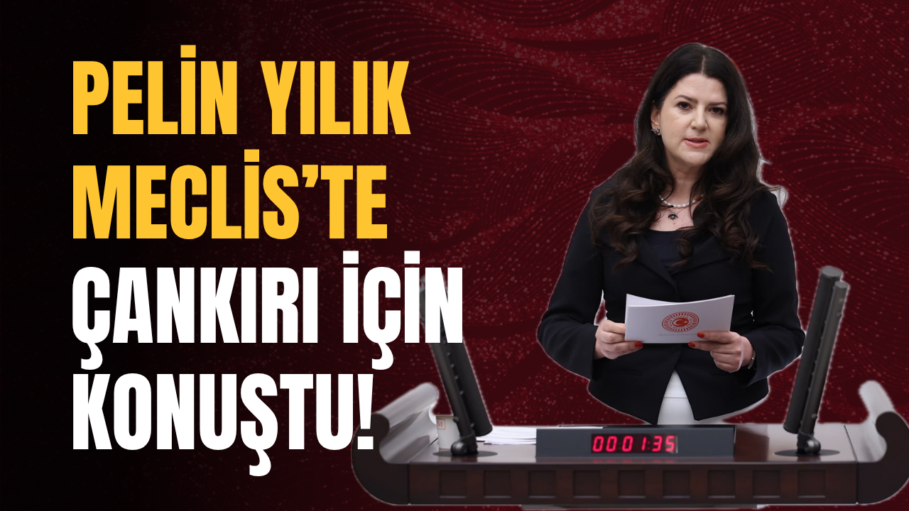 Pelin Yılık Meclis’te Çankırı İçin Konuştu!