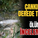 Çankırı’da Derede Toplu Balık Ölümleri İncelemede