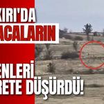 Çankırı'da Karacaların Hızı Görenleri Hayrete Düşürdü!