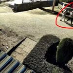 Kucağında Bebeğiyle Saldırıya Uğradı: Kurtarılamadı