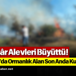 Rüzgâr Alevleri Büyüttü! Korgun'da Ormanlık Alan Son Anda Kurtarıldı