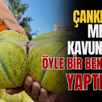 Çankırı’nın Meşhur Kavunu İçin Öyle Bir Benzetme Yaptı Ki…