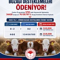 GÜNDEM